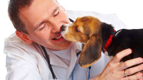 Jobs in Prospect Park Animal Clinic - reviews