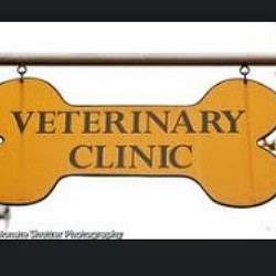 Jobs in Bedford Stuyvesant Veterinary Clinic - reviews