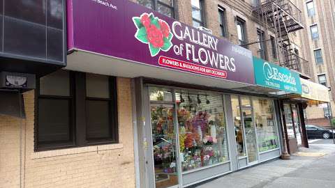Jobs in Gallery of Flowers Ny Corporation - reviews